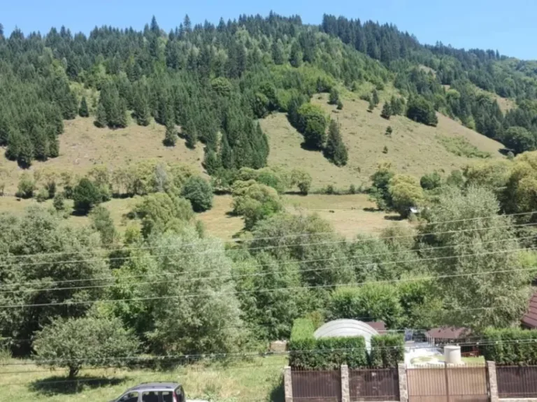 Casă – De Vânzare – Voineasa – 9 – camere – Casă (Pensiune) de Vânzare