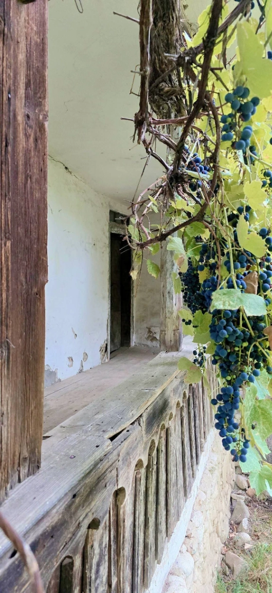 Casă – De Vânzare – Slătioara – 3 – camere – 🌿 TEREN DE VÂNZARE – RUGETU, SLĂTIOARA , Județul Vâlcea 📍 Preț: 77.500 Euro