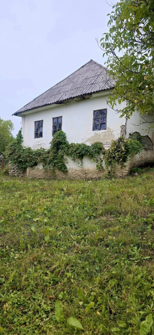 Casă – De Vânzare – Slătioara – 3 – camere – 🌿 TEREN DE VÂNZARE – RUGETU, SLĂTIOARA , Județul Vâlcea 📍 Preț: 77.500 Euro