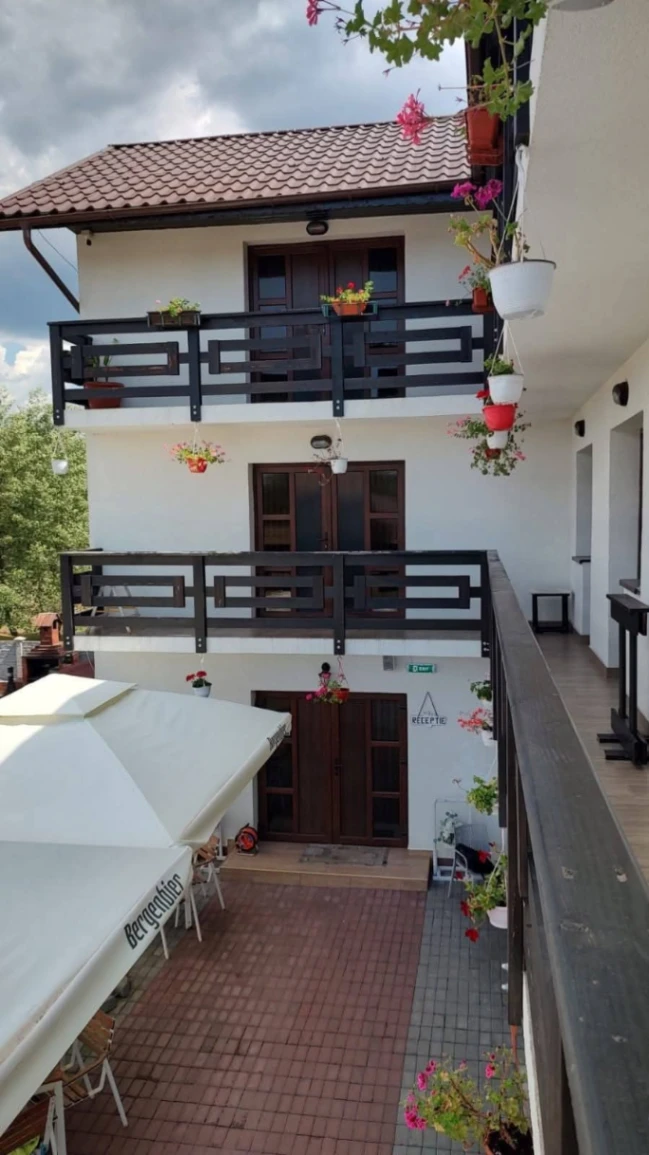 HoReCa – De Vânzare – Slătioara – 16 – camere – Pensiune și Restaurant de Vânzare în Milostea! Preț 590.000 Euro!❤️ 0772203164 – Alina Cozma