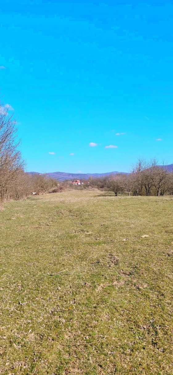 Teren – De Vânzare – Bujoreni – metri patrati – Teren de Vânzare în Bogdănești, Vâlcea! 0772 203 164 – Alina Cozma.