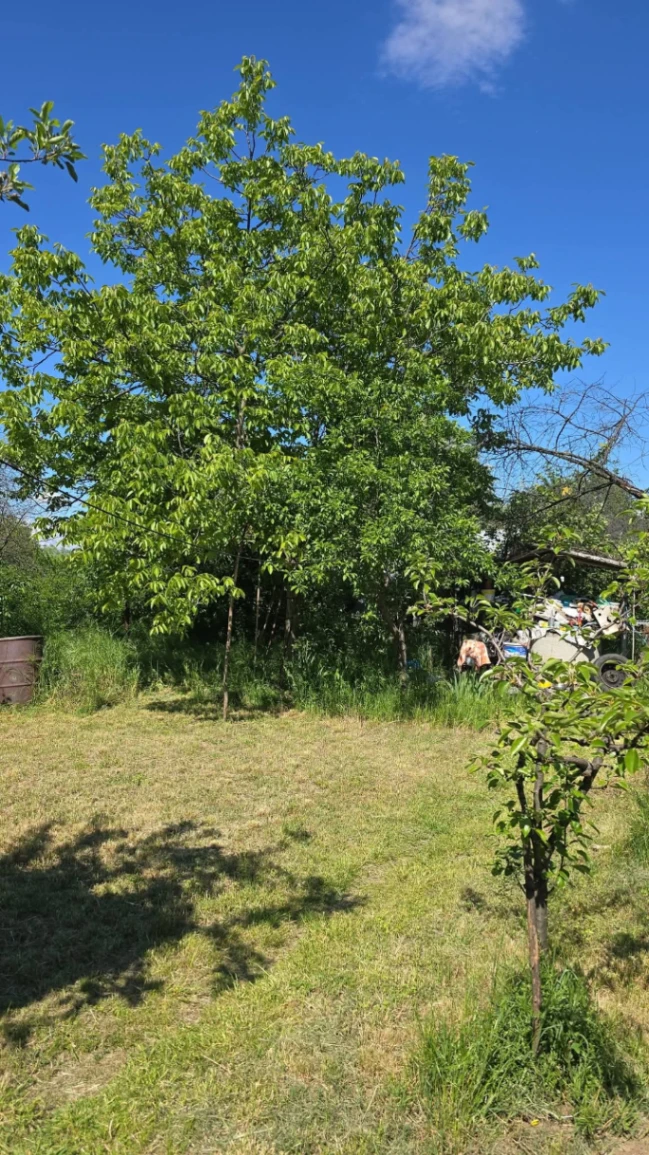 Teren – De Vânzare – Râmnicu Vâlcea – metri patrati – Teren Intravilan de Vânzare în – Zona Ostroveni!❤️💰 Preț: 143.000 Euro 0772 203 164 – Alina Cozma