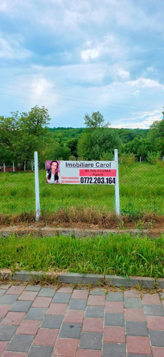 Teren – De Vânzare – Ionești – metri patrati – Oportunitate de Excepție – Teren de Vânzare în Ionești, Vâlcea! 49.500 E 0772 203 164 – Alina Cozma