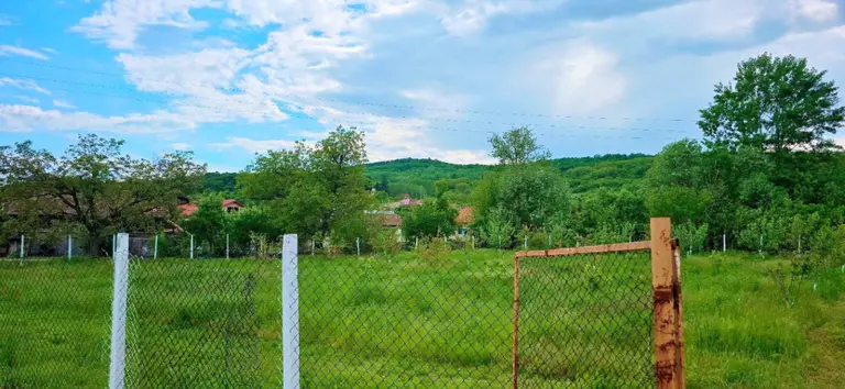 Teren – De Vânzare – Ionești – metri patrati – Oportunitate de Excepție – Teren de Vânzare în Ionești, Vâlcea! 49.500 E 0772 203 164 – Alina Cozma