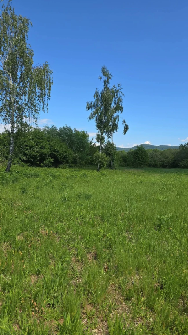 Teren – De Vânzare – Bujoreni – metri patrati – Oportunitate Rară, Teren Intravilan de Vânzare în Bujoreni, Sat Olteni! 60.000 E 0772 203 164