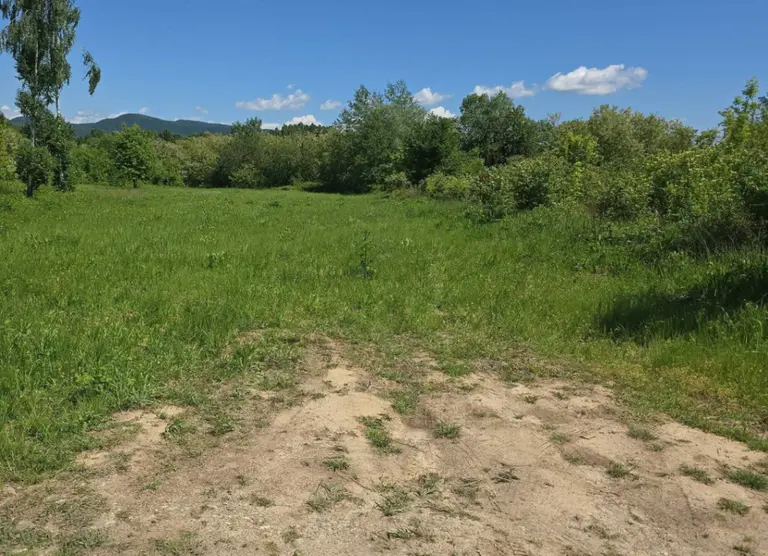 Teren – De Vânzare – Bujoreni – metri patrati – Oportunitate Rară, Teren Intravilan de Vânzare în Bujoreni, Sat Olteni! 60.000 E 0772 203 164
