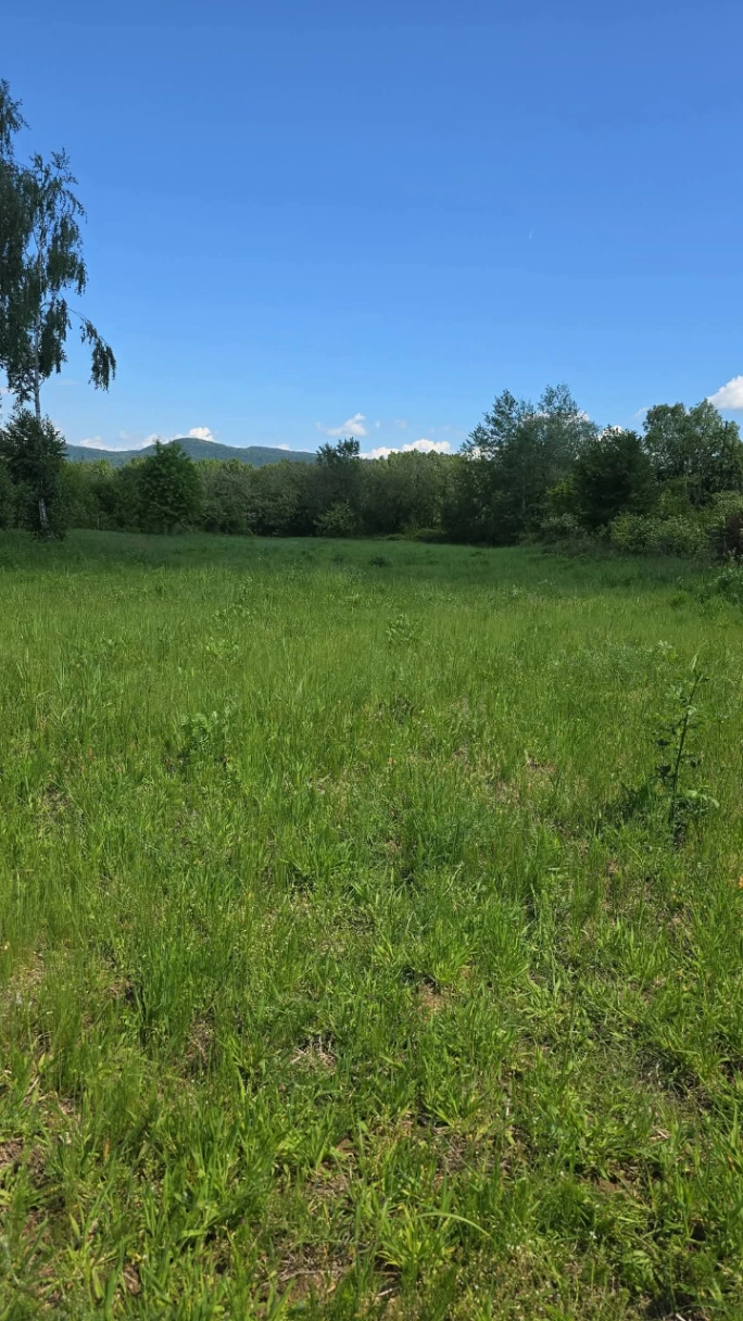 Teren – De Vânzare – Bujoreni – metri patrati – Oportunitate Rară, Teren Intravilan de Vânzare în Bujoreni, Sat Olteni! 60.000 E 0772 203 164