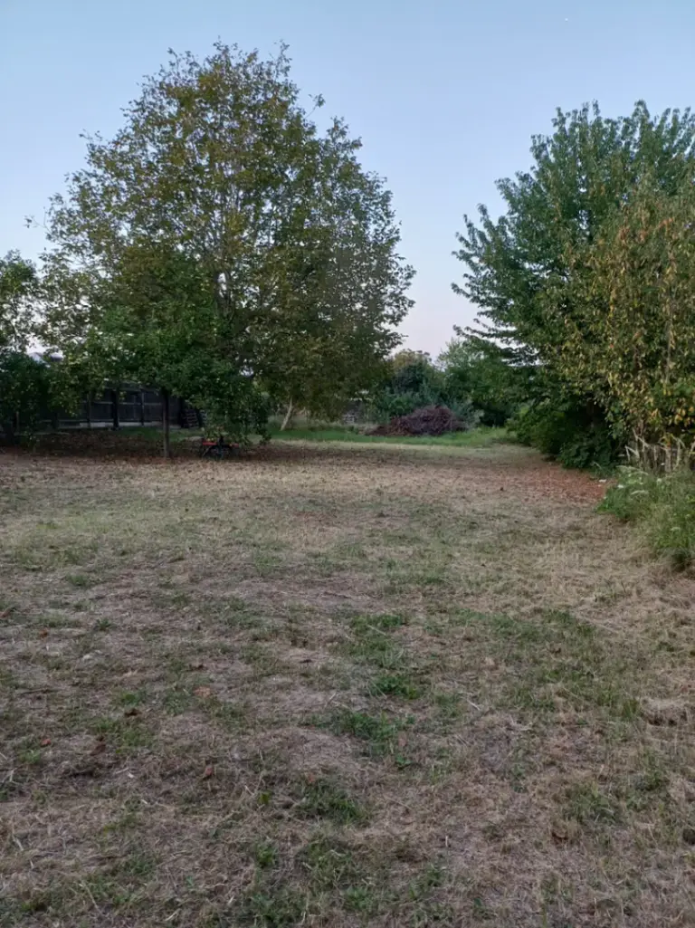 Casă – De Vânzare – Snagov – 2 – camere – Snagov sat-Particular vand casa si teren