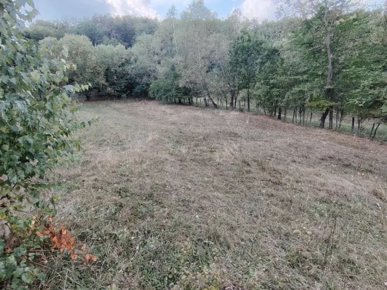 Teren – De Vânzare – Cicănești – metri patrati – Teren intravilan de vânzare !