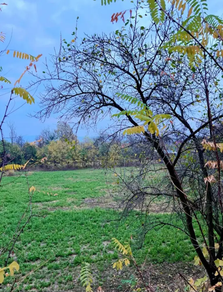 Teren – De Vânzare – Mihăești – metri patrati – TEREN DE VÂNZARE ÎN MIHĂEȘTI, JUDEȚUL VÂLCEA! Preț 66.250 Euro