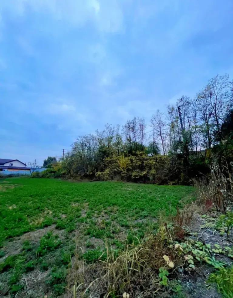 Teren – De Vânzare – Mihăești – metri patrati – TEREN DE VÂNZARE ÎN MIHĂEȘTI, JUDEȚUL VÂLCEA! Preț 66.250 Euro