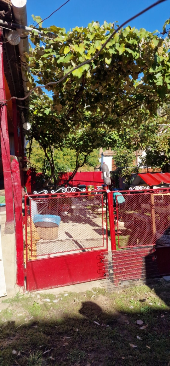 Casă – De Vânzare – Saschiz – 3 – camere – Gospodărie autentică de vânzare în sat Mihai Viteazu, jud. Mureș – teren generos și dependințe