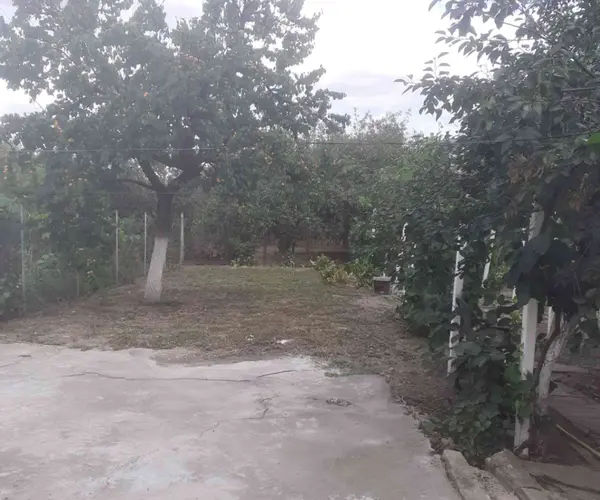 Casă – De Vânzare – Arad – 4 – camere – Vînd casă în Micălaca
