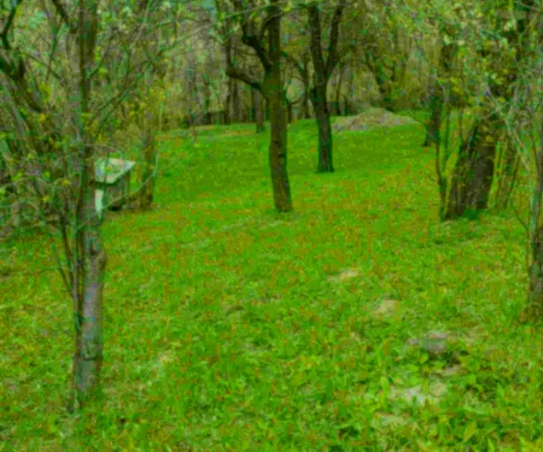 Teren – De Vânzare – Șotrile – metri patrati – Căsuța cu teren intravilan