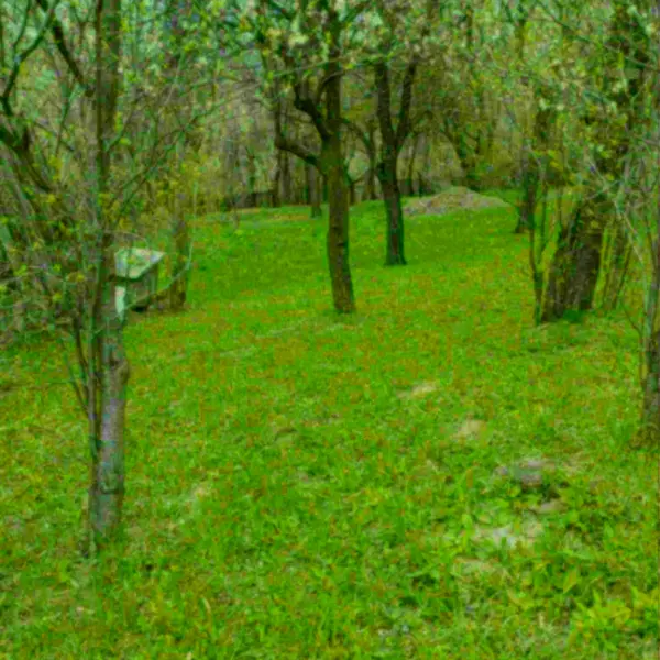 Teren – De Vânzare – Șotrile – metri patrati – Căsuța cu teren intravilan