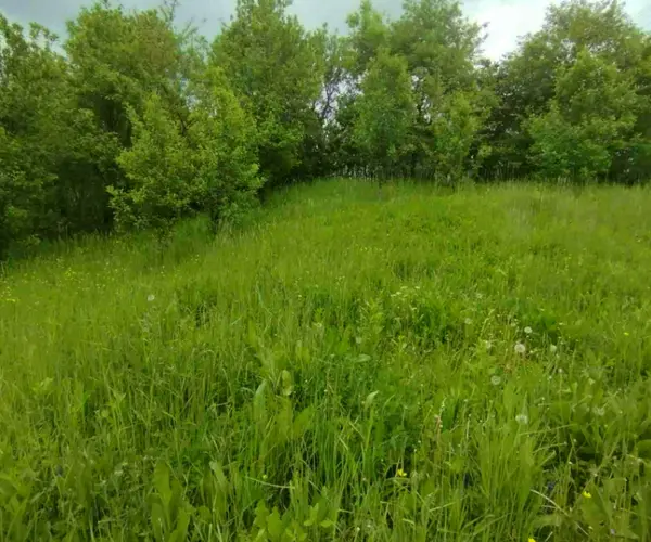 Teren – De Vânzare – Șotrile – metri patrati – Căsuța cu teren intravilan
