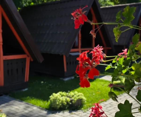 Casă – De Vânzare – Ocnele Mari – 1 – camere – 🏡 15 CĂSUȚE DE POVESTE