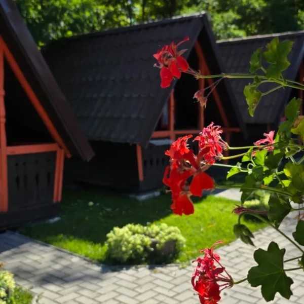 Casă – De Vânzare – Ocnele Mari – 1 – camere – 🏡 15 CĂSUȚE DE POVESTE