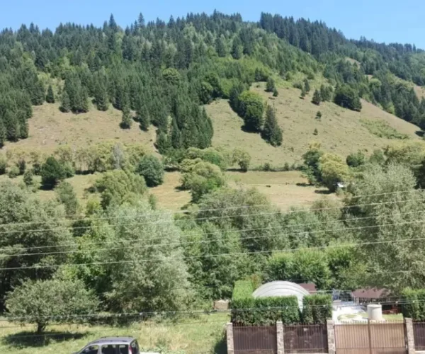 Casă – De Vânzare – Voineasa – 9 – camere – Casă (Pensiune) de Vânzare
