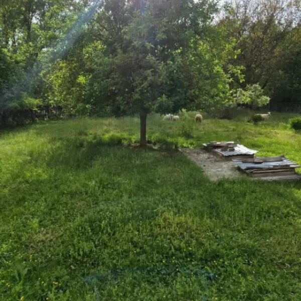 Casă – De Vânzare – Stoenești – 6 – camere – Casă de Vânzare, Stoenești – Județul Vâlcea