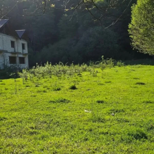 Teren – De Vânzare – Malaia – metri patrati – Teren Malaia, Preajba – Voineasa