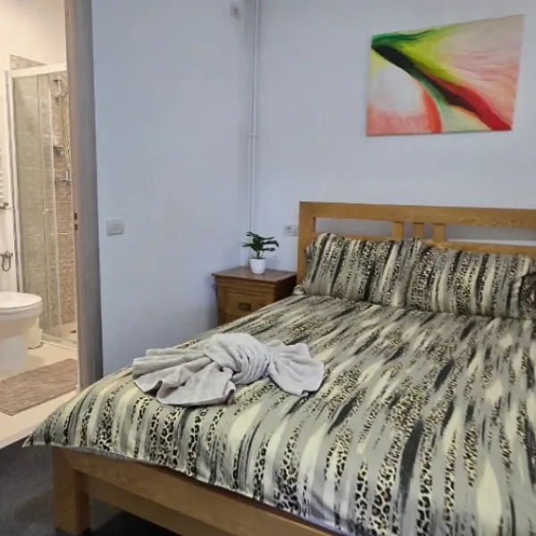 Industrial – De Vânzare – Dăești – 6 – camere – Spălătorie, 2 Apartamente și Spațiu Comercial