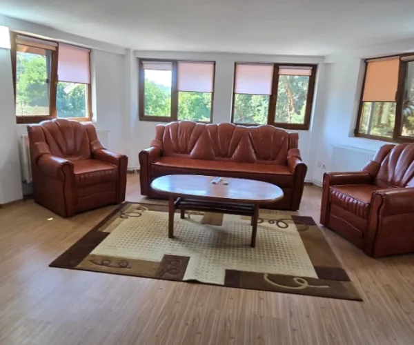 Industrial – De Vânzare – Dăești – 6 – camere – Spălătorie, 2 Apartamente și Spațiu Comercial