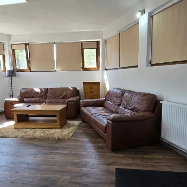 Industrial – De Vânzare – Dăești – 6 – camere – Spălătorie, 2 Apartamente și Spațiu Comercial