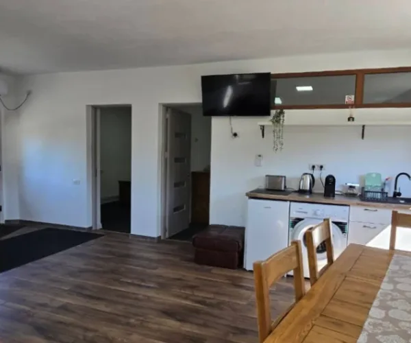 Industrial – De Vânzare – Dăești – 6 – camere – Spălătorie, 2 Apartamente și Spațiu Comercial