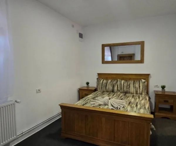 Industrial – De Vânzare – Dăești – 6 – camere – Spălătorie, 2 Apartamente și Spațiu Comercial