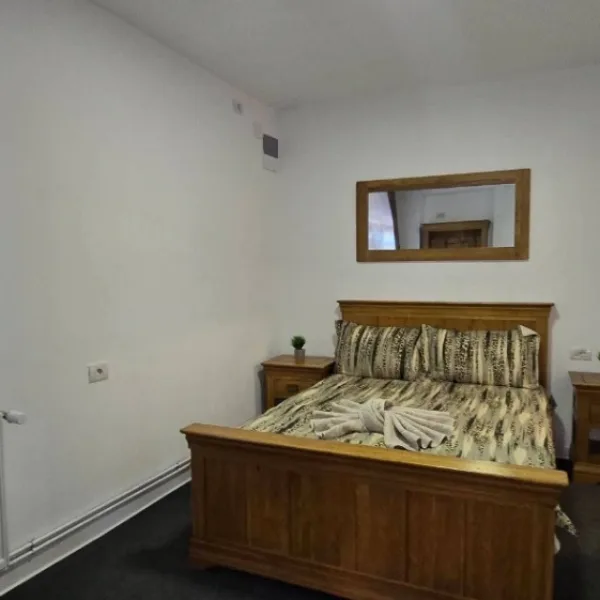 Industrial – De Vânzare – Dăești – 6 – camere – Spălătorie, 2 Apartamente și Spațiu Comercial