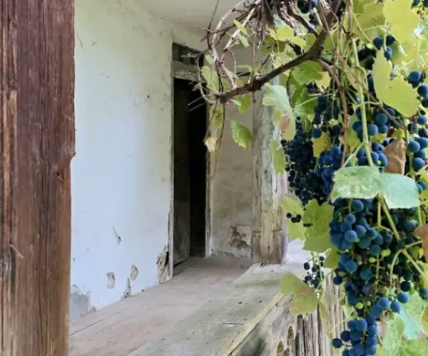 Casă – De Vânzare – Slătioara – 3 – camere – 🌿 TEREN DE VÂNZARE – RUGETU, SLĂTIOARA , Județul Vâlcea 📍 Preț: 77.500 Euro