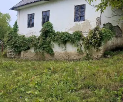 Casă – De Vânzare – Slătioara – 3 – camere – 🌿 TEREN DE VÂNZARE – RUGETU, SLĂTIOARA , Județul Vâlcea 📍 Preț: 77.500 Euro