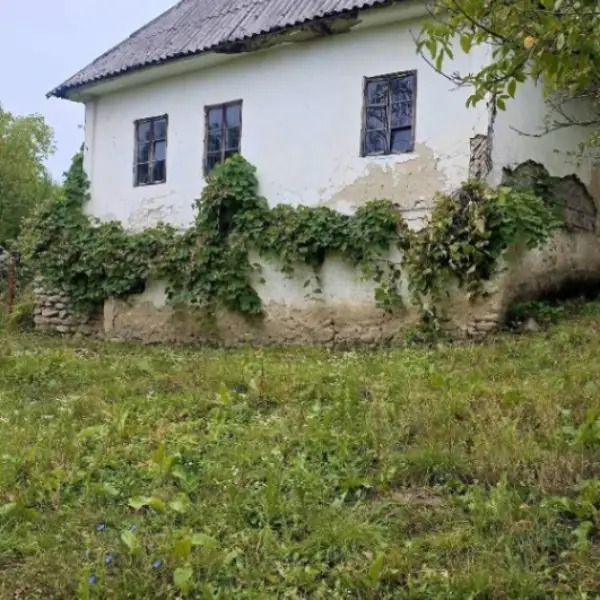 Casă – De Vânzare – Slătioara – 3 – camere – 🌿 TEREN DE VÂNZARE – RUGETU, SLĂTIOARA , Județul Vâlcea 📍 Preț: 77.500 Euro