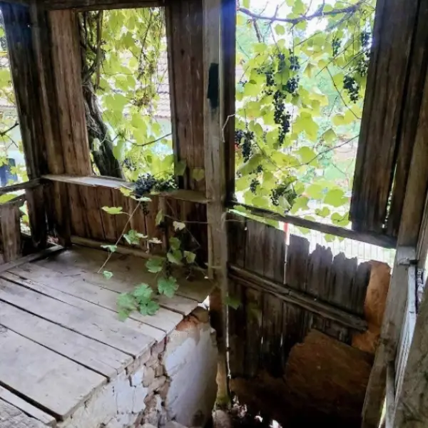 Casă – De Vânzare – Slătioara – 3 – camere – 🌿 TEREN DE VÂNZARE – RUGETU, SLĂTIOARA , Județul Vâlcea 📍 Preț: 77.500 Euro