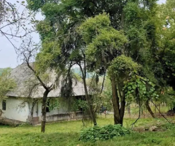 Casă – De Vânzare – Slătioara – 3 – camere – 🌿 TEREN DE VÂNZARE – RUGETU, SLĂTIOARA , Județul Vâlcea 📍 Preț: 77.500 Euro