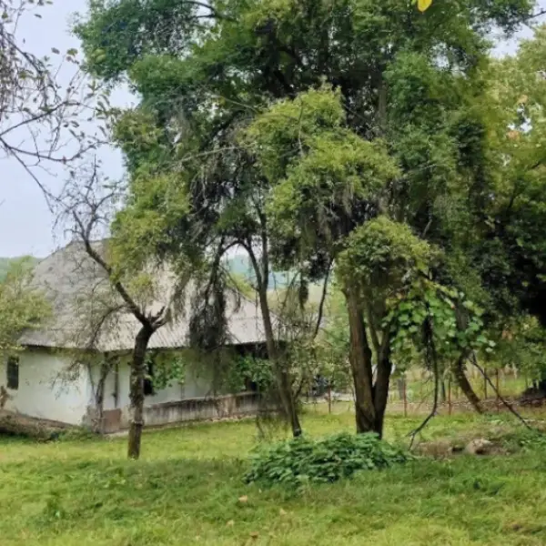 Casă – De Vânzare – Slătioara – 3 – camere – 🌿 TEREN DE VÂNZARE – RUGETU, SLĂTIOARA , Județul Vâlcea 📍 Preț: 77.500 Euro