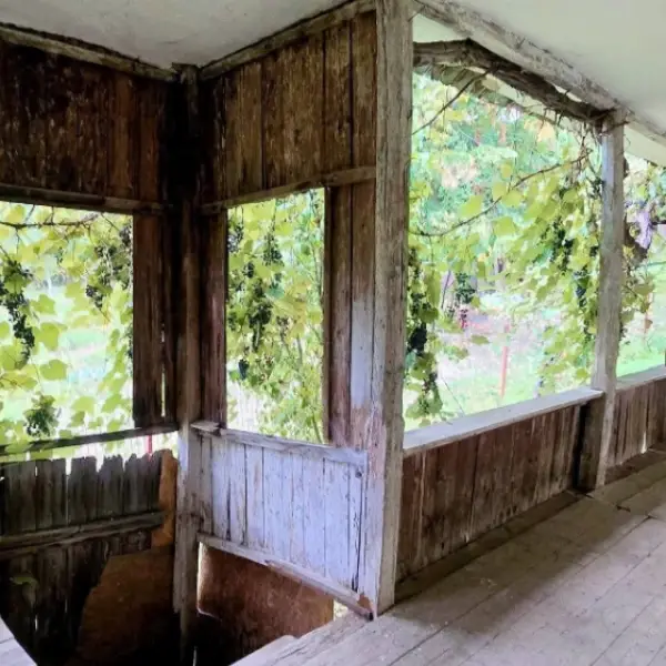 Casă – De Vânzare – Slătioara – 3 – camere – 🌿 TEREN DE VÂNZARE – RUGETU, SLĂTIOARA , Județul Vâlcea 📍 Preț: 77.500 Euro