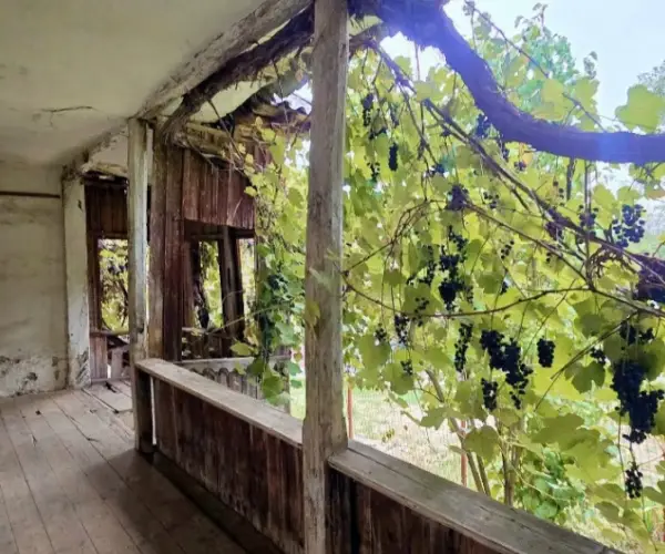 Casă – De Vânzare – Slătioara – 3 – camere – 🌿 TEREN DE VÂNZARE – RUGETU, SLĂTIOARA , Județul Vâlcea 📍 Preț: 77.500 Euro