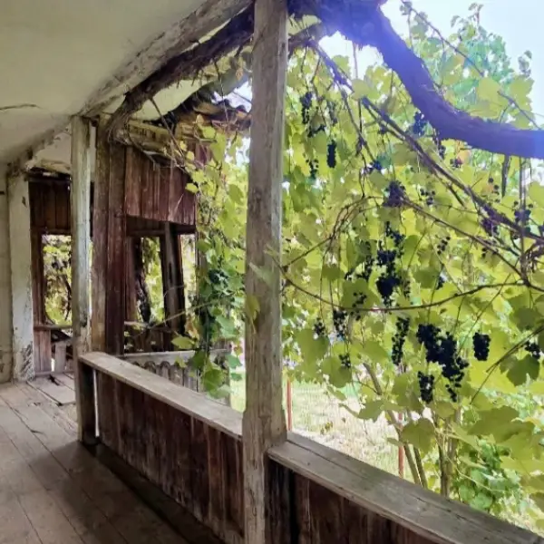 Casă – De Vânzare – Slătioara – 3 – camere – 🌿 TEREN DE VÂNZARE – RUGETU, SLĂTIOARA , Județul Vâlcea 📍 Preț: 77.500 Euro