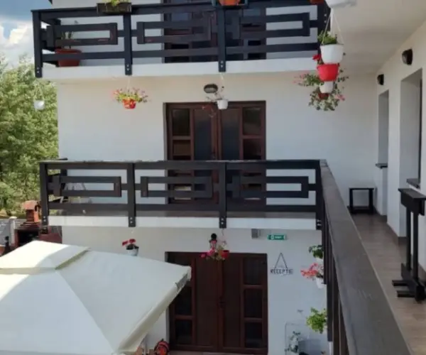 HoReCa – De Vânzare – Slătioara – 16 – camere – Pensiune și Restaurant de Vânzare în Milostea! Preț 590.000 Euro!❤️ 0772203164 – Alina Cozma