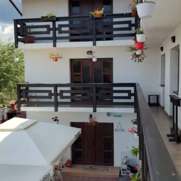 HoReCa – De Vânzare – Slătioara – 16 – camere – Pensiune și Restaurant de Vânzare în Milostea! Preț 590.000 Euro!❤️ 0772203164 – Alina Cozma