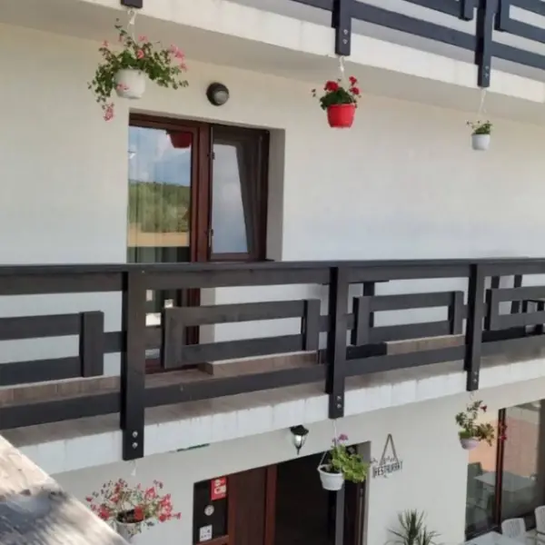 HoReCa – De Vânzare – Slătioara – 16 – camere – Pensiune și Restaurant de Vânzare în Milostea! Preț 590.000 Euro!❤️ 0772203164 – Alina Cozma