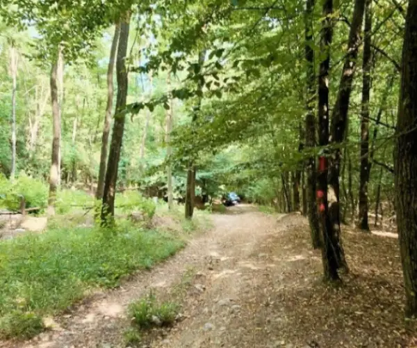Teren – De Vânzare – Bujoreni – metri patrati – Teren de Vânzare în Vâlcea