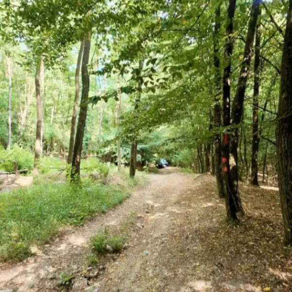 Teren – De Vânzare – Bujoreni – metri patrati – Teren de Vânzare în Vâlcea