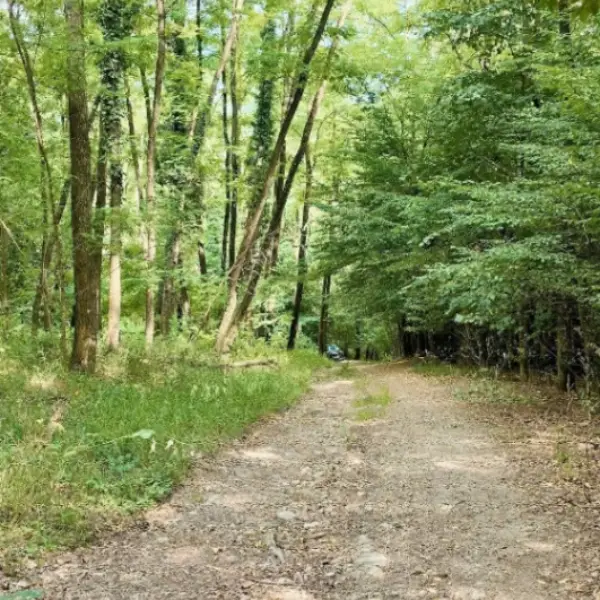 Teren – De Vânzare – Bujoreni – metri patrati – Teren de Vânzare în Vâlcea