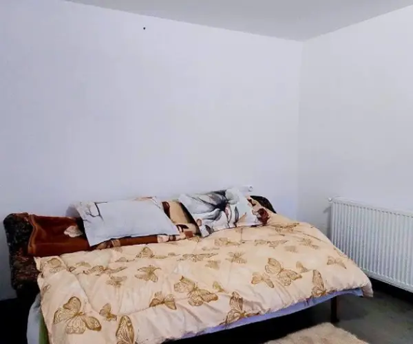 Casă – De Vânzare – Orlești – 4 – camere – Casă de Vânzare în Orlești, Județul Vâlcea