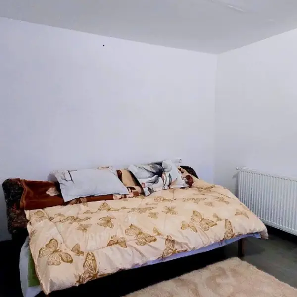Casă – De Vânzare – Orlești – 4 – camere – Casă de Vânzare în Orlești, Județul Vâlcea