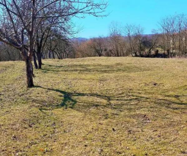 Teren – De Vânzare – Bujoreni – metri patrati – Teren de Vânzare în Bogdănești, Vâlcea! 0772 203 164 – Alina Cozma.