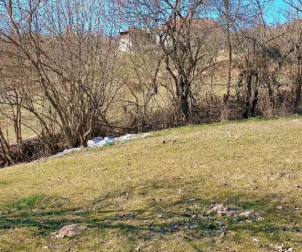 Teren – De Vânzare – Bujoreni – metri patrati – Teren de Vânzare în Bogdănești, Vâlcea! 0772 203 164 – Alina Cozma.